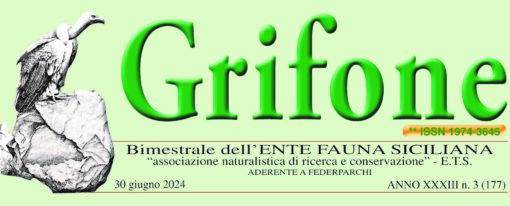 Ente Fauna Siciliana: ecco il “Grifone” del 30 Giugno 2024.